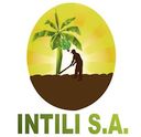 LOGO-INTILI-01.jpg